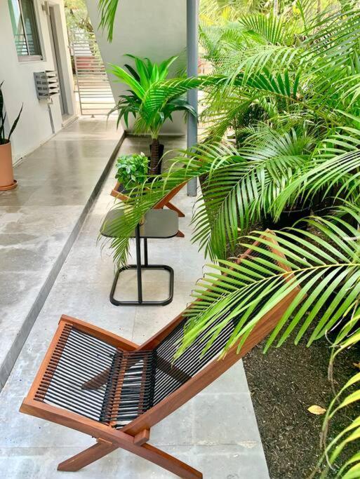 Groveo6 10 Minutes From The Beach ميامي المظهر الخارجي الصورة